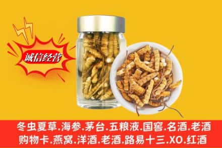 信阳潢川县回收散虫草